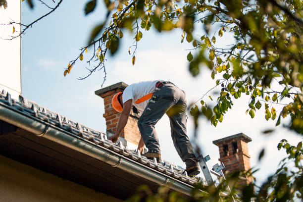 Best Residential Roofing Contractor  in Eastwood, MI
