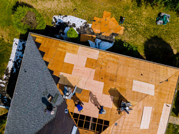 Best Emergency Roof Repair  in Eastwood, MI